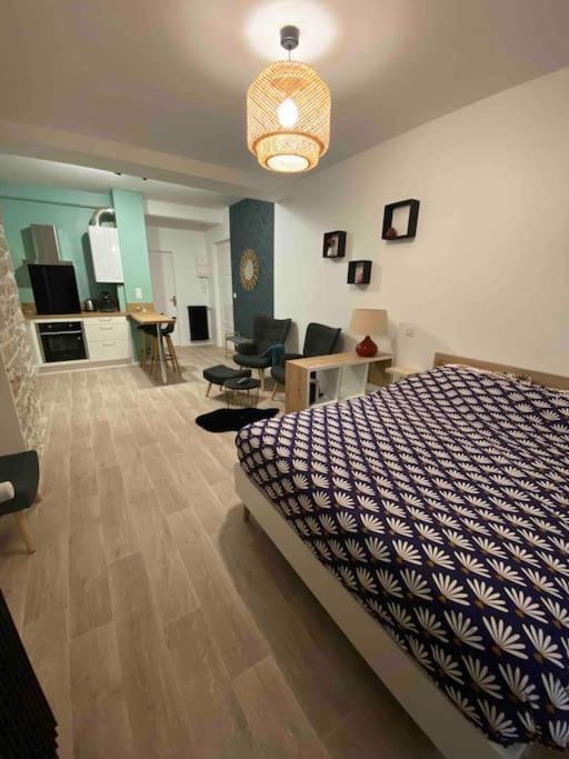 Charmant Studio Idealement Place Et Paisible ! 올롱생테마리 외부 사진